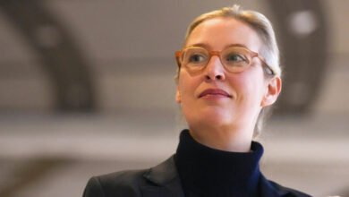 Alice Weidel Ohrprothese